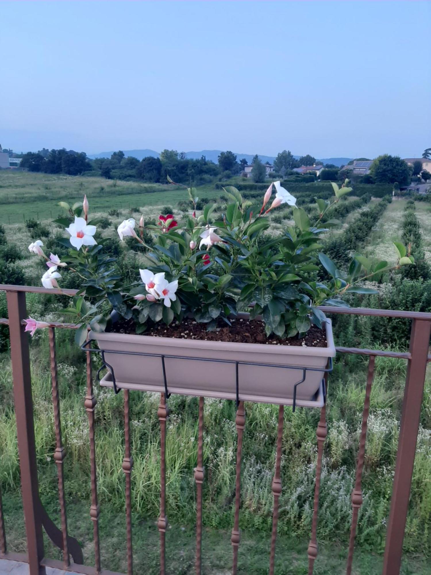 Bed And Breakfast Ca Tognella Pescantina Exteriör bild